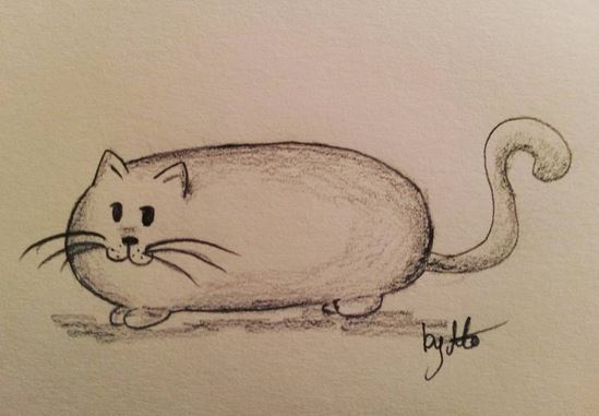 #100kittycats Nr.24