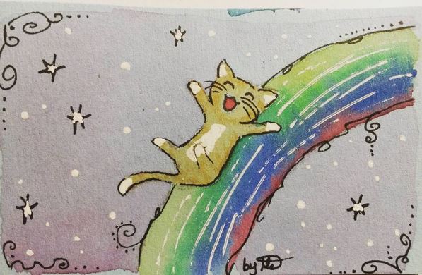#100kittycats Nr.5