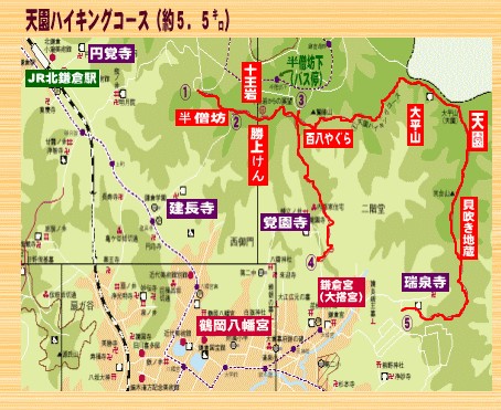 鎌倉アルプス 天園ハイキングコース散策 幹鍼灸院 浦和駅西口 不定愁訴と運動器疾患