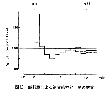 鍼刺激による筋交感神経活動の応答