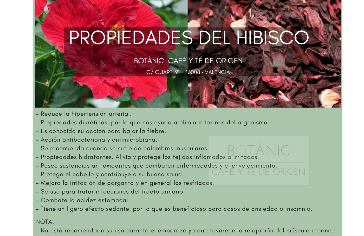PROPIEDADES Y BENEFICIOS DEL HIBISCO. INFUSIONES DE FLOR
