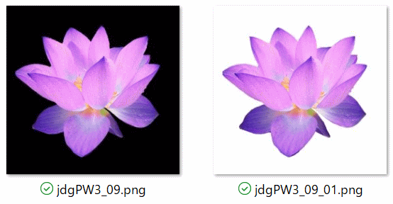 jdgPW3_09：透明背景 vs. 白色背景