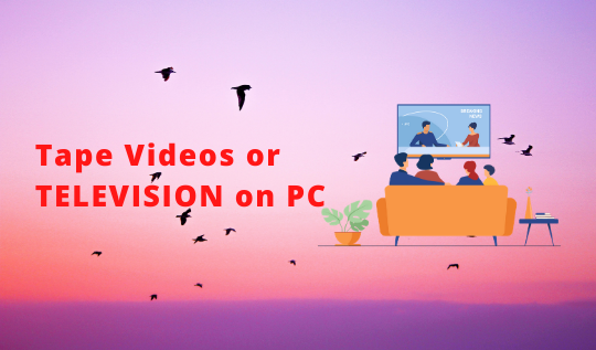Tape Videos or TELEVISION on PC