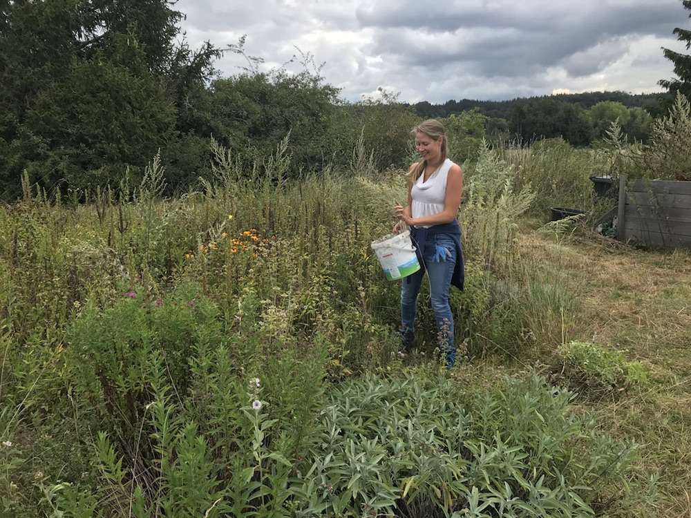 Garten der Freude Kompass der Freude e. V.