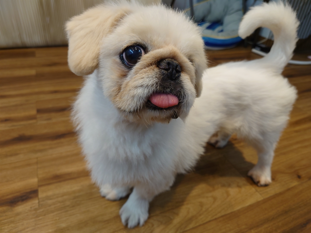 卒業致しました!