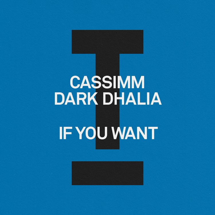 CASSIMM | Dark Dhalia
