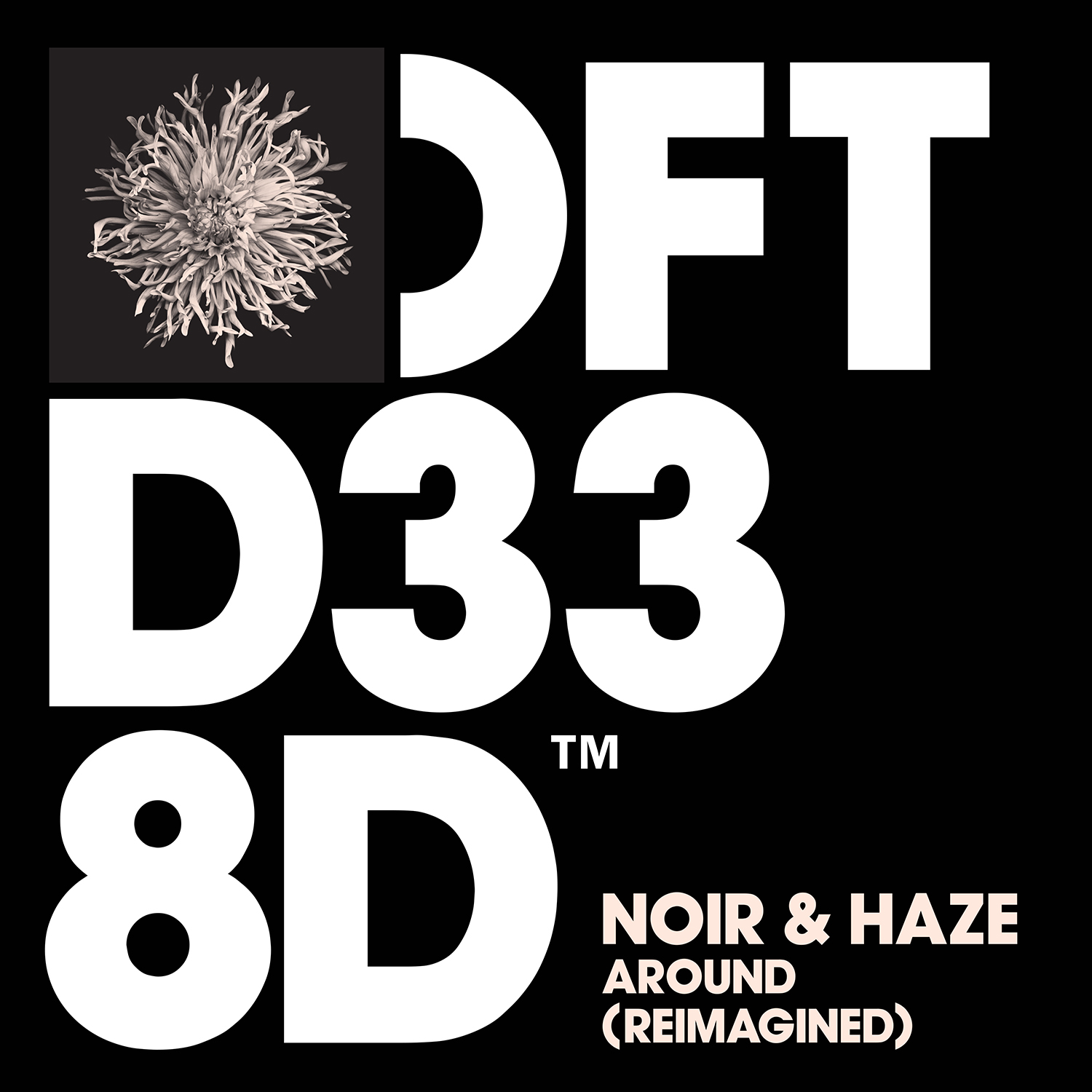 Noir & Haze
