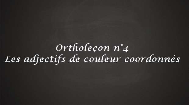 Les adjectifs de couleur coordonnées, noir et blanc ou noires et blanches