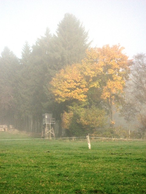 Bauernhof-Frühnebel