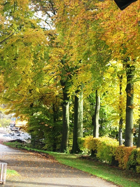 Bauernhof-bunte Bäume