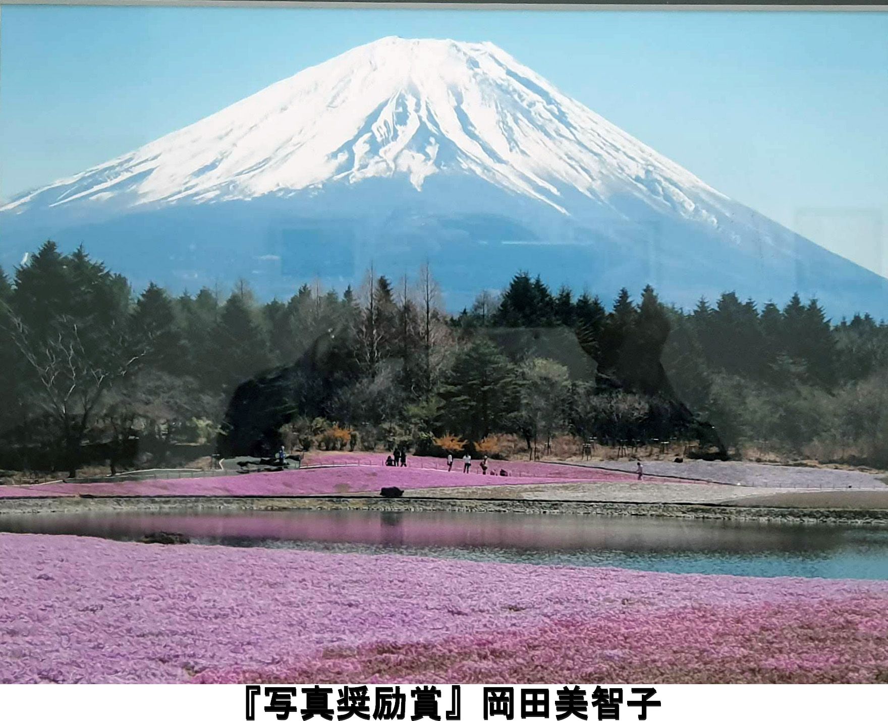 第58回全展 受賞者及び作品 - 全日本美術協会 第58回全展 受賞者及び作品 - 全日本美術協会