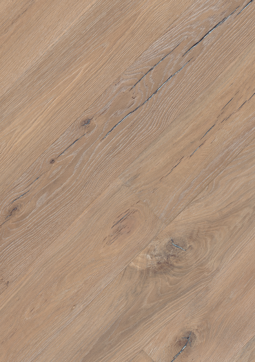 Oak No. 12 - Lancaster