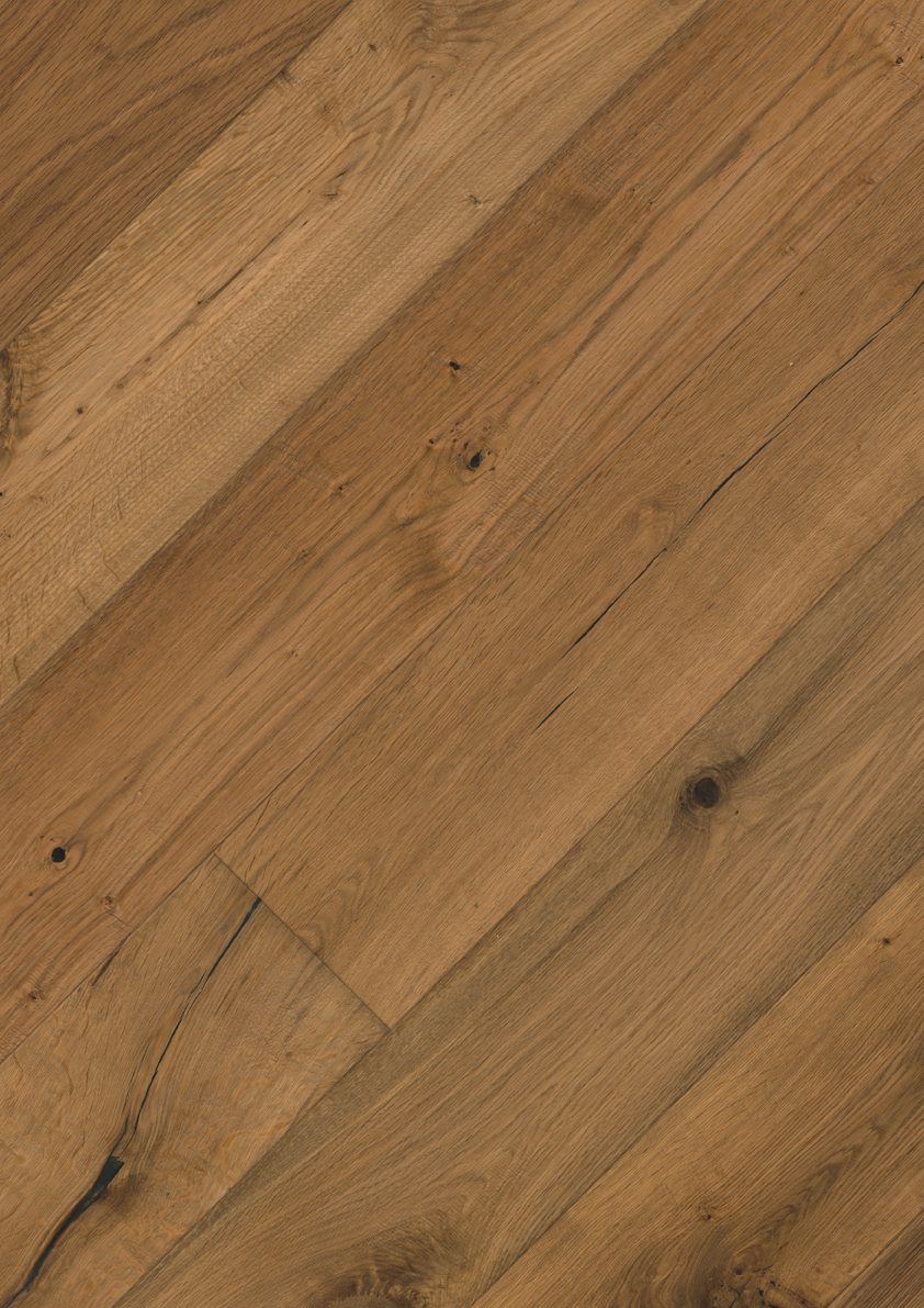 Oak No. 13 - Mortimer