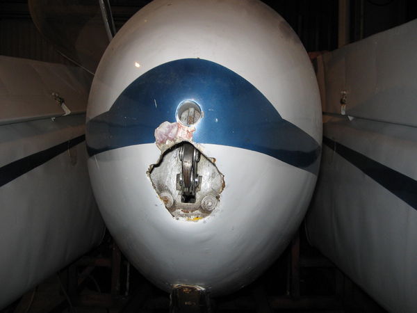 Damaged nose 