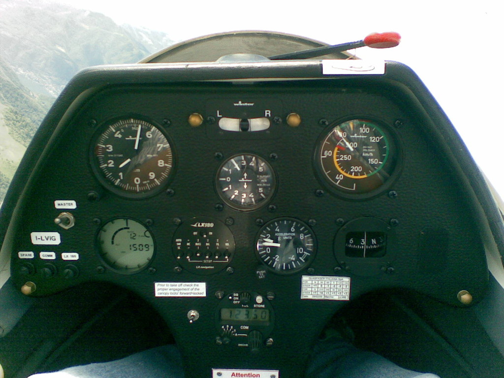 The panel