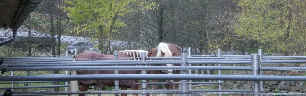 Paddocks