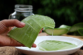 qu'est ce que l'aloe vera - côté nature 83 - toulon