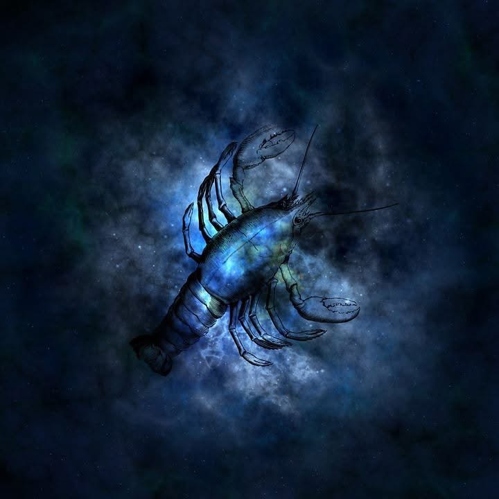 Personne comme vous ne sait enchainer les émotions, les soupirs, les rêves, les souvenirs et les fantaisies, lovés au coeur du monde comme de doux chatons en mal de jeux, de griffures et d'innombrables caresses.