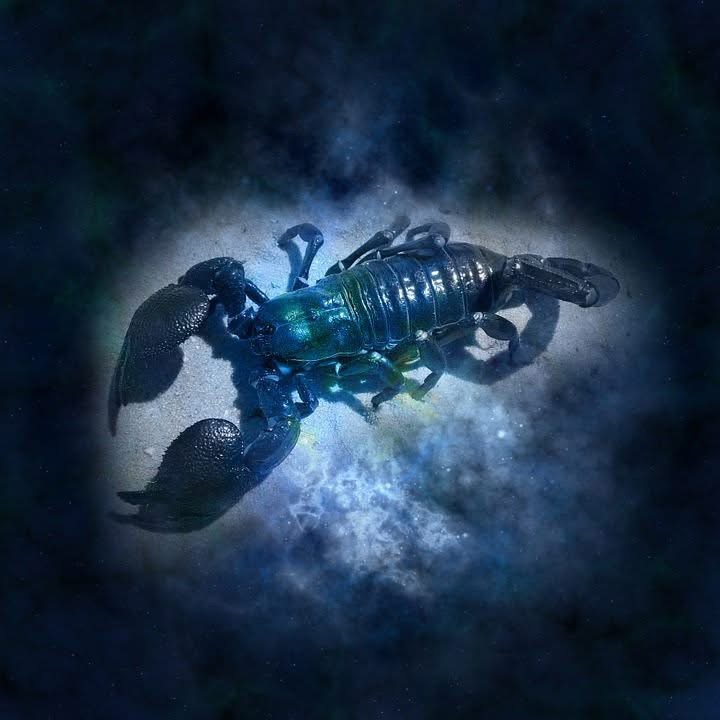 Au fond de tout, au-delà des limites, des habitudes et des peurs, au-delà des limites de la vie tranquille, dans l'obscurité la plus veloutée et la plus mystérieuse : c'est là que vous vous sentez vivant et prêt à renaitre plus fort à chaque fois.