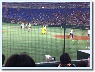三塁側 イースタンリーグが面白い