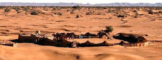 maroc, désert, randonnée, méharée, dromadaire
