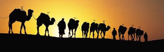 séjour, vacance, réveillon, randonnée, Maroc,Marrakech, sud, bivouac