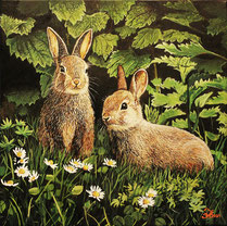 Nestflüchter 30 x 30   