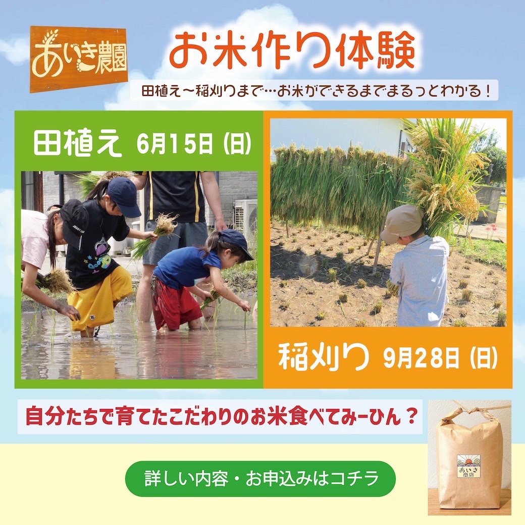 農業体験「お米作り体験」