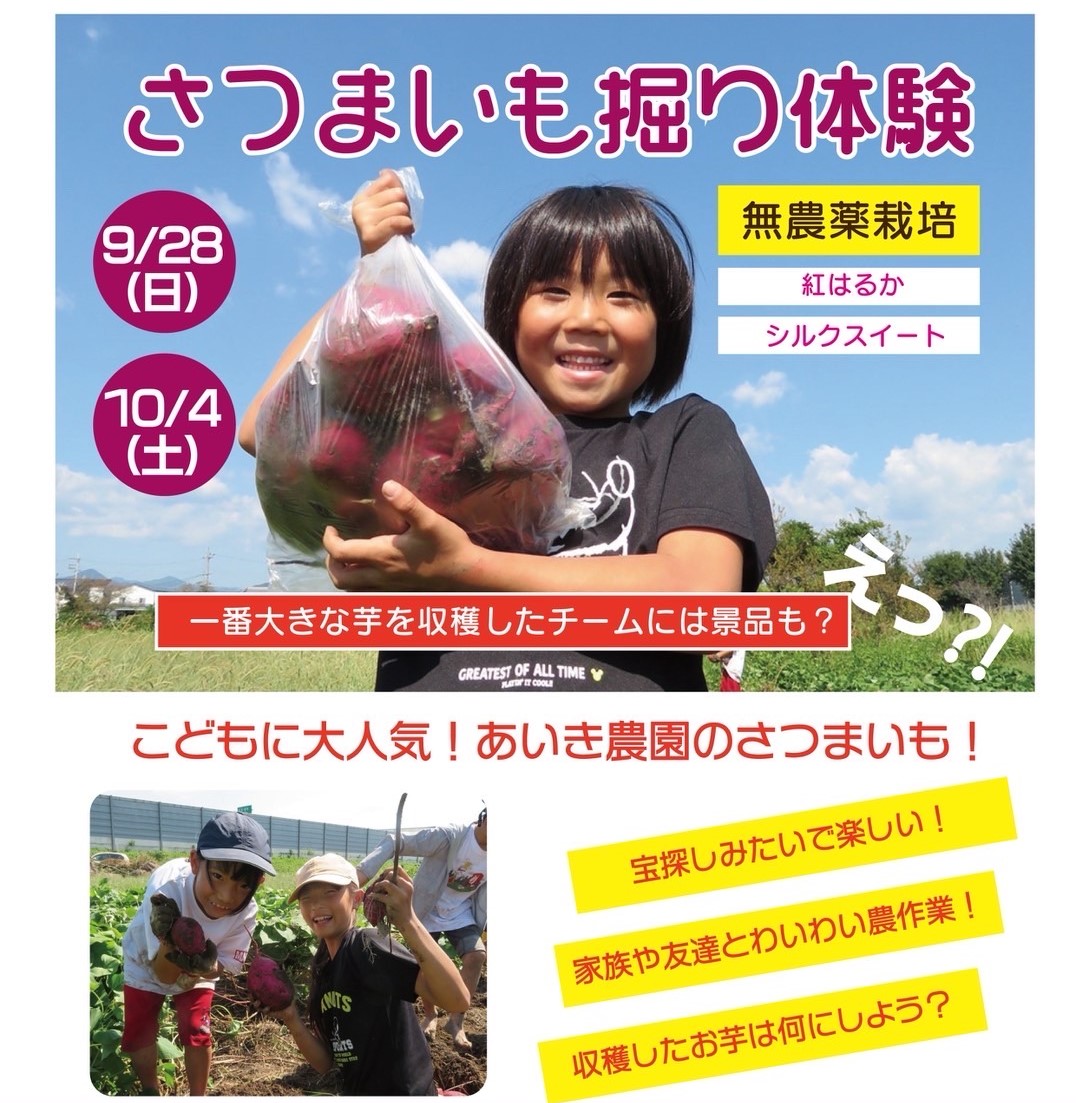 農業体験「芋掘り体験」