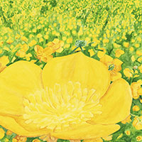 Entrance to the Fantastic Art Exhibition, represented by ABUNDANCE, Schilling, 34x34cm, 2007