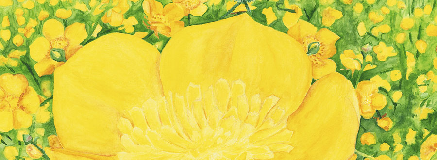 Silke Schilling, ABUNDANCE, water color, center section, 2007