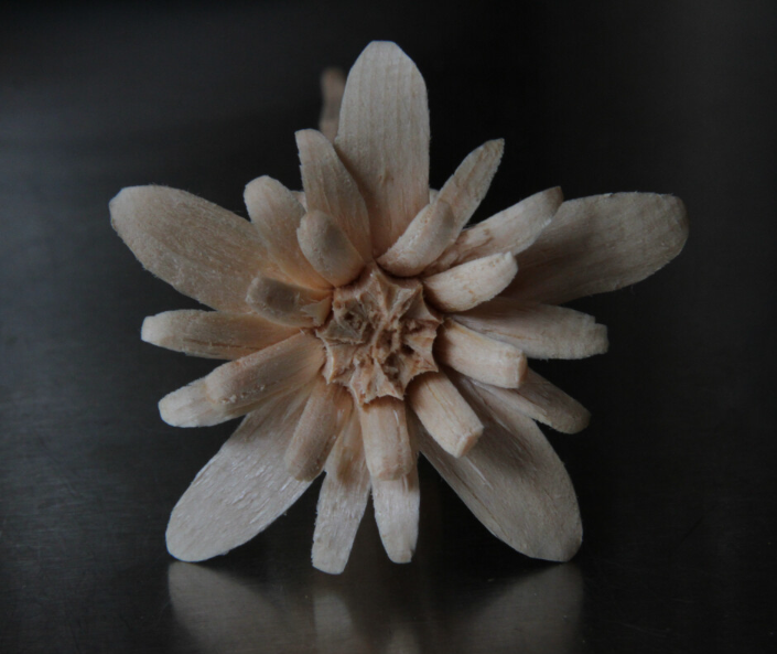 Edelweiss im Noguchi Museumsshop