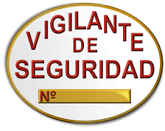 Vigilante Seguridad Privada