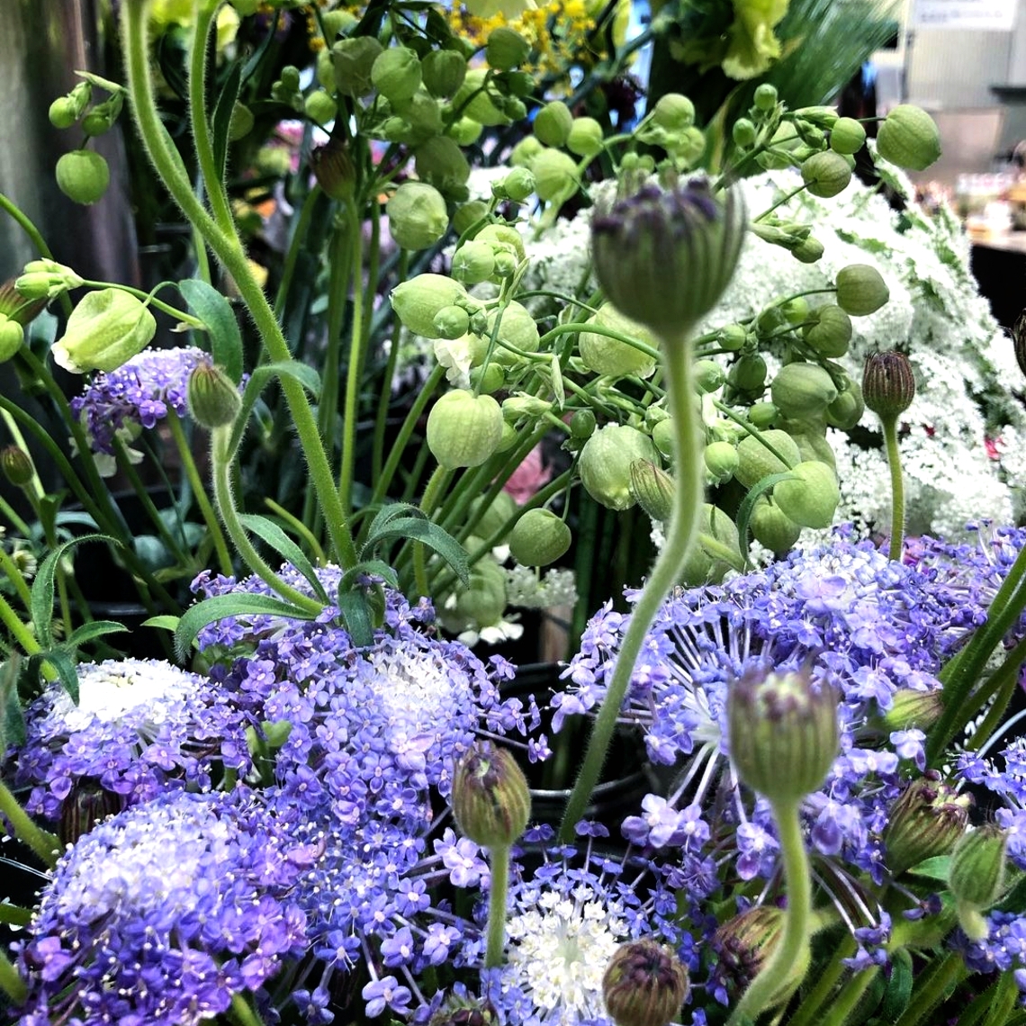 トップTop ヨシモトフラワーデリバリーカジュアルフラワー業務委託