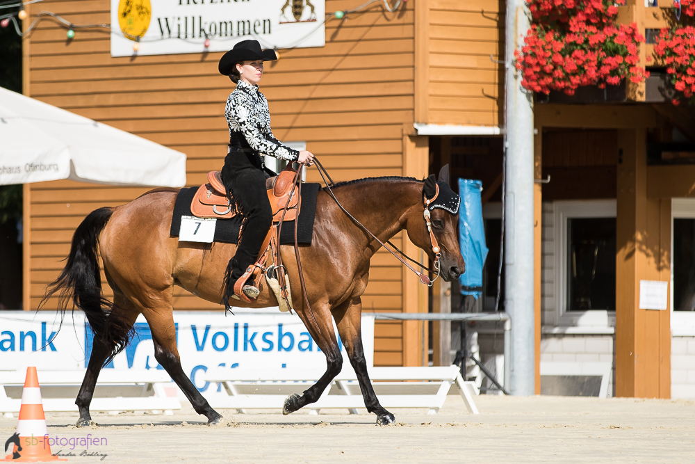 EWU Landesmeisterschaft 2016 - 6. Place - Horsemanship