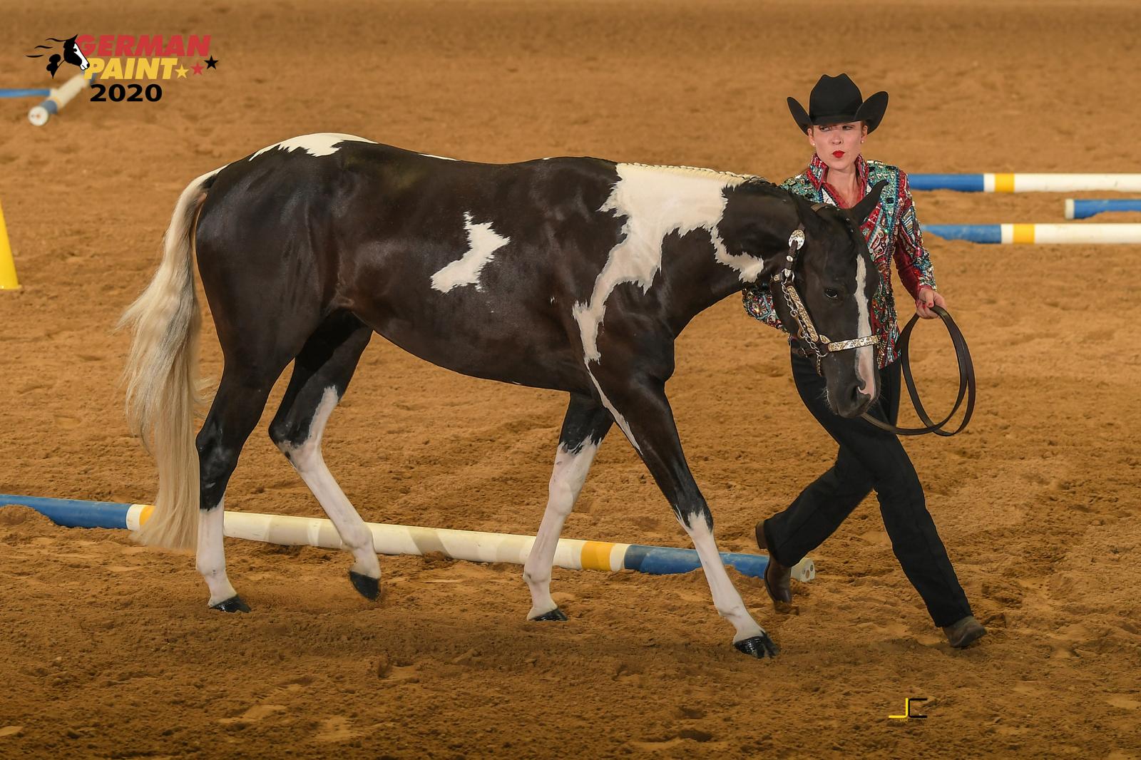 1&2YO Trail in Hand