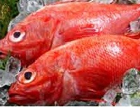 めんめ きんき 網走産 羅臼産のきんき めんめ 須藤食品 オホーツクの海の幸 きんき かに いくら 網走須藤食品
