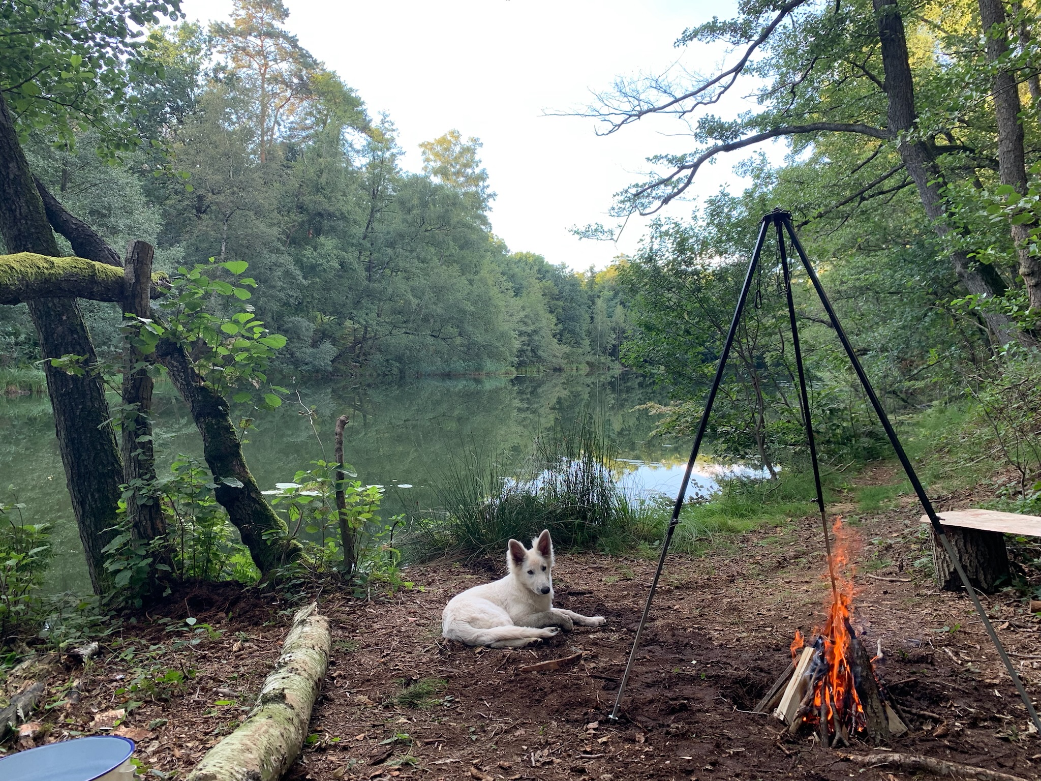 Wildwechsel 2: Feuerstelle am Wasser - Sitzplatz mit Hund