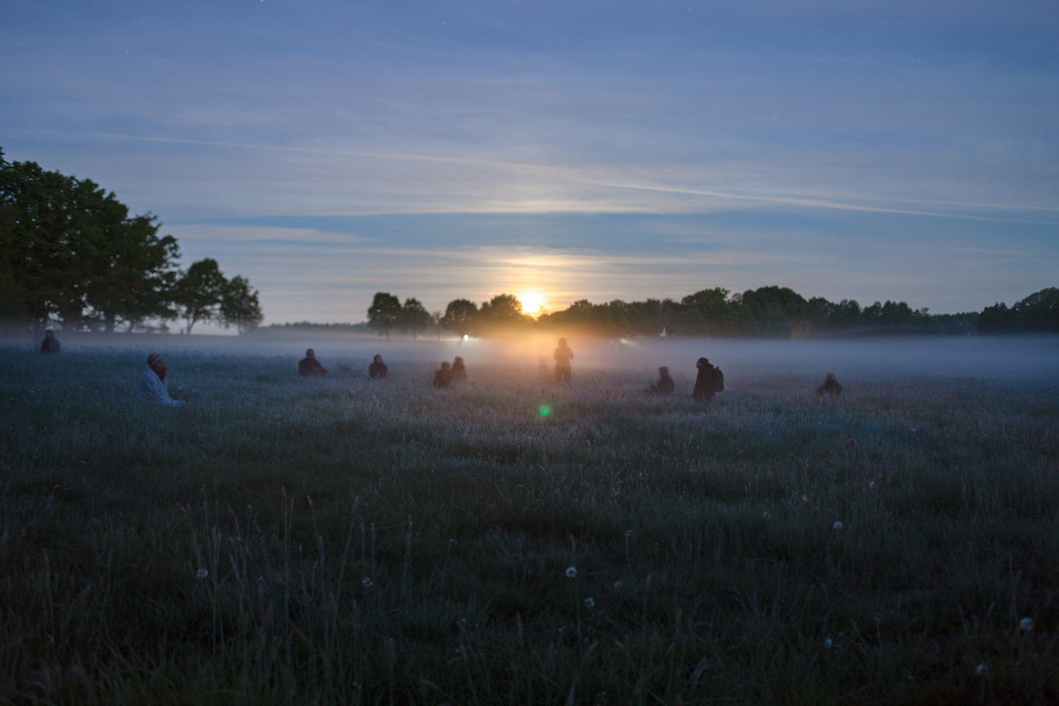Wildwechsel-Ausbildung: Sonnenaufgang – Gruppe in der Morgenstille