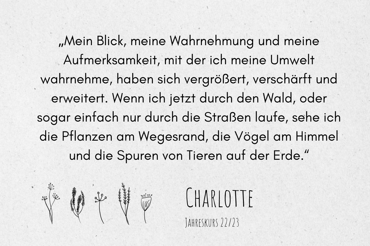 Teilnehmendenstimme Wildwechsel – Charlotte (Jahrgang 22/23)
