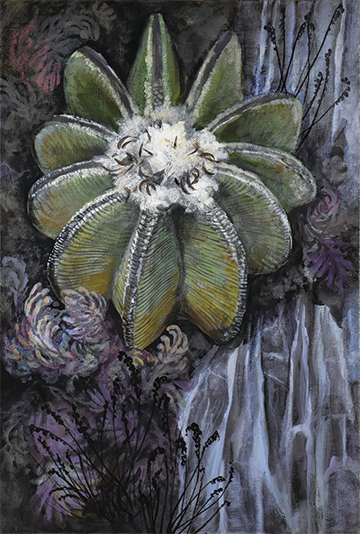 Post Card ポストカード 1 - kaorusano