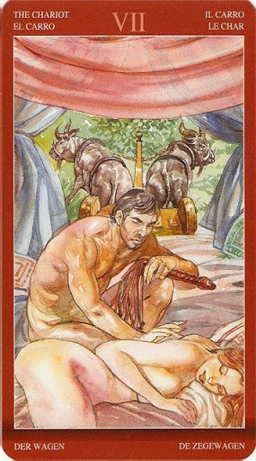 Tarot of Sexual Magic - Érotique - VII Le Chariot