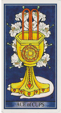 As de Coupes - Le tarot de la Roue de Dame Fortune