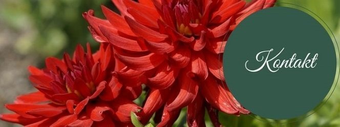Kontaktformular Landhausidyll Gartenkeramik