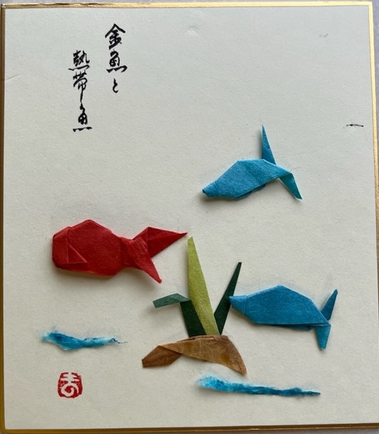 令和５年７月金魚