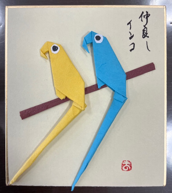 令和７年３月１９日インコ