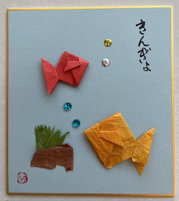 令和６年８月金魚