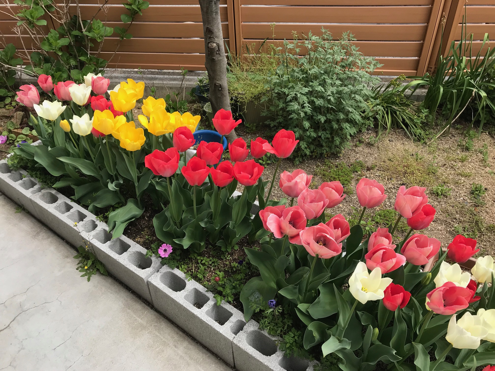 平成30年4月