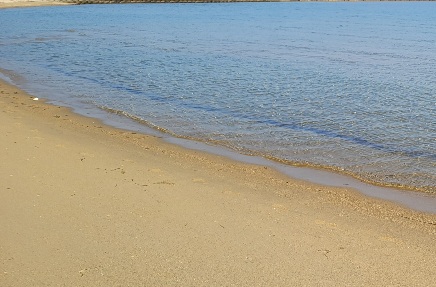 土地の目の前が砂浜なのでプライベートビーチ気分で遊べます。