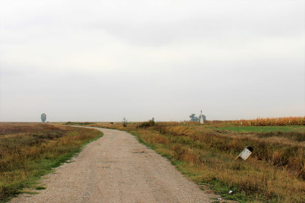 Fotoaufnahme 2013
